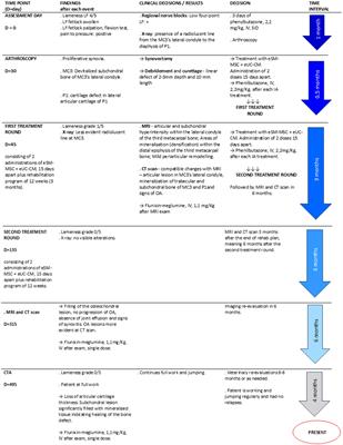 Case report: Equine metacarpophalangeal joint partial and full thickness defects treated with allogenic equine synovial membrane mesenchymal stem/stromal cell combined with umbilical cord mesenchymal stem/stromal cell conditioned medium